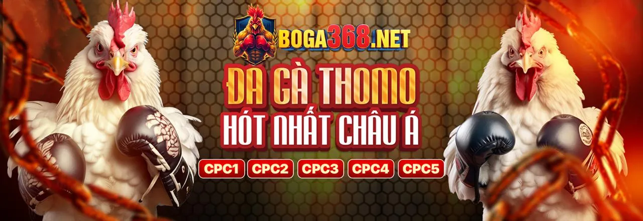 Ưu đãi chào mừng thành viên mới vn88za win